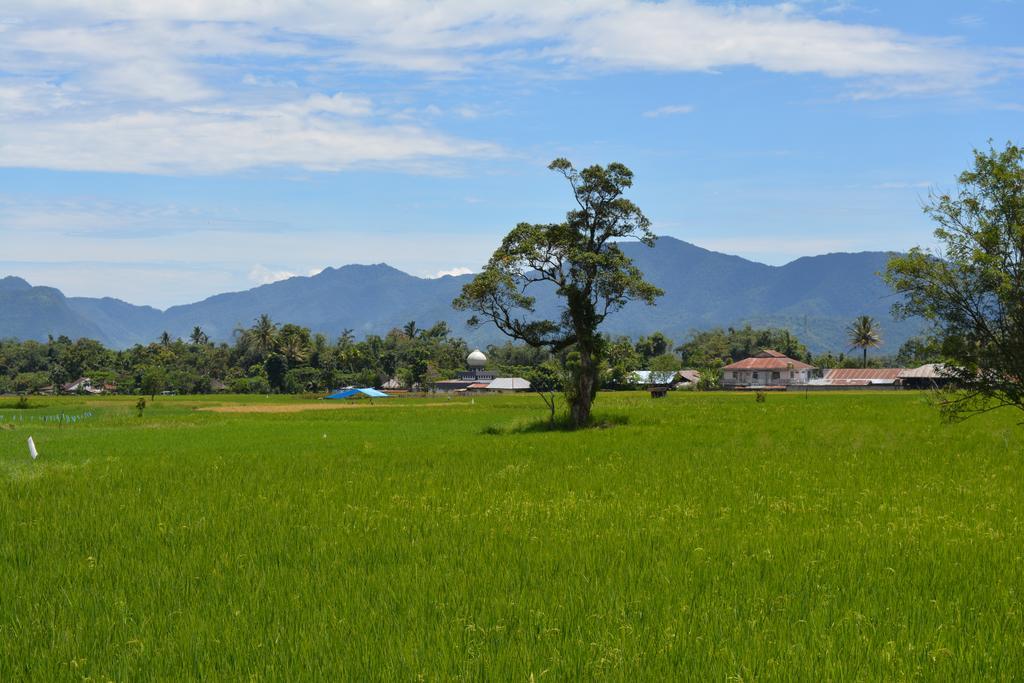 Koto Hilalang Homestay Bukittinggi Eksteriør bilde