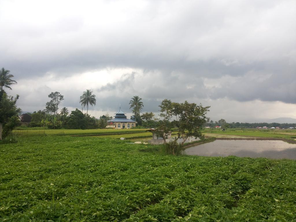 Koto Hilalang Homestay Bukittinggi Rom bilde